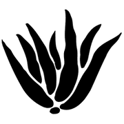Aloe Up logo